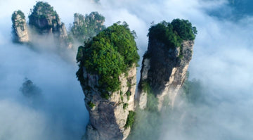 Zhangjiajie National Forest Park