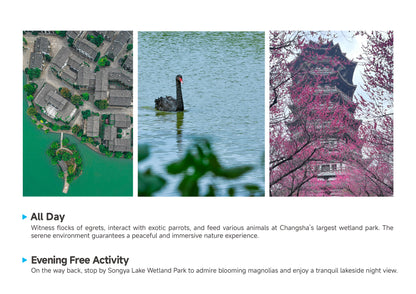 Trip 8:  An Eight-Day Flower-Viewing Tour in Changsha