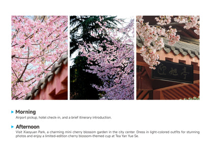 Trip 8:  An Eight-Day Flower-Viewing Tour in Changsha