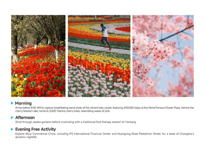 Trip 8:  An Eight-Day Flower-Viewing Tour in Changsha