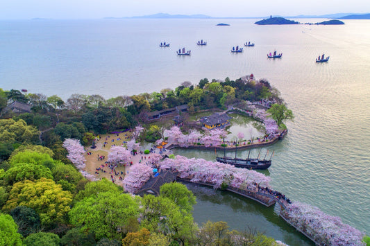 Trip 8:  An Eight-Day Flower-Viewing Tour in Changsha