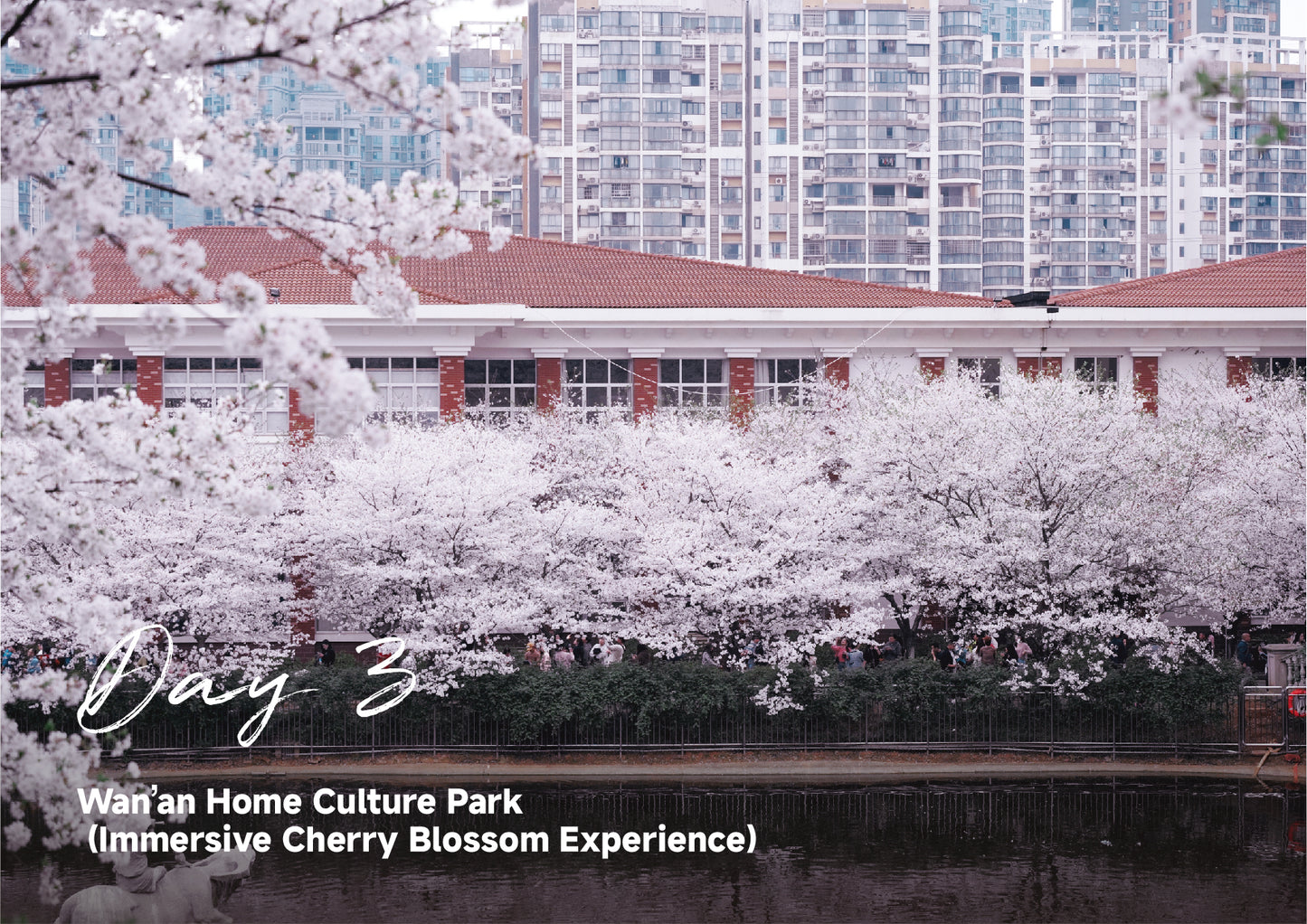 Trip 8:  An Eight-Day Flower-Viewing Tour in Changsha