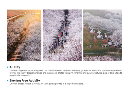 Trip 8:  An Eight-Day Flower-Viewing Tour in Changsha