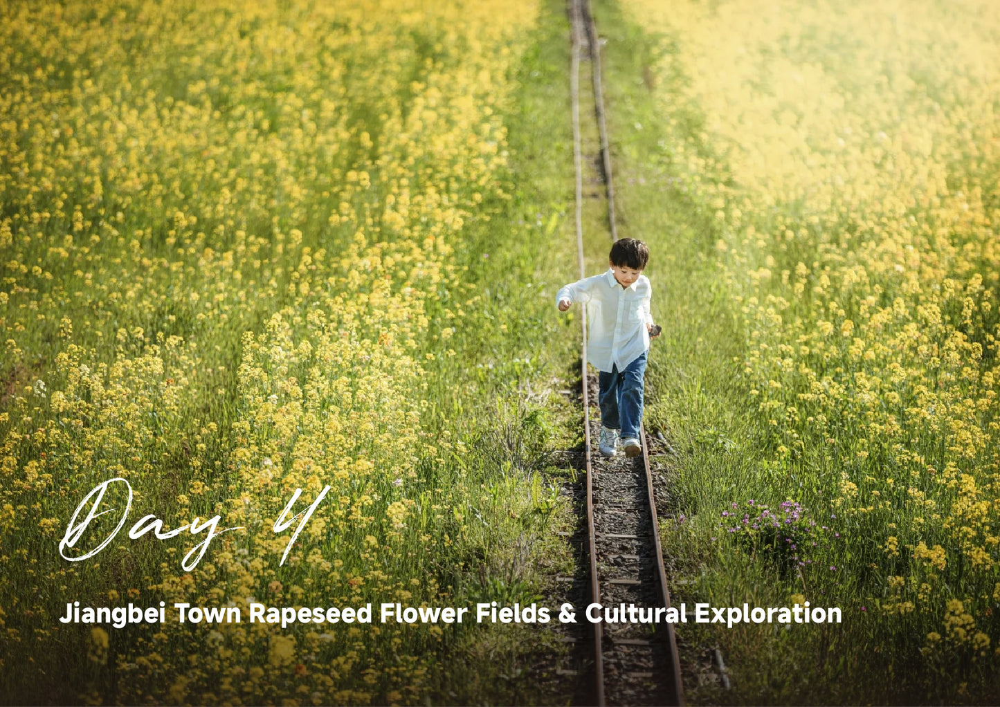 Trip 8:  An Eight-Day Flower-Viewing Tour in Changsha