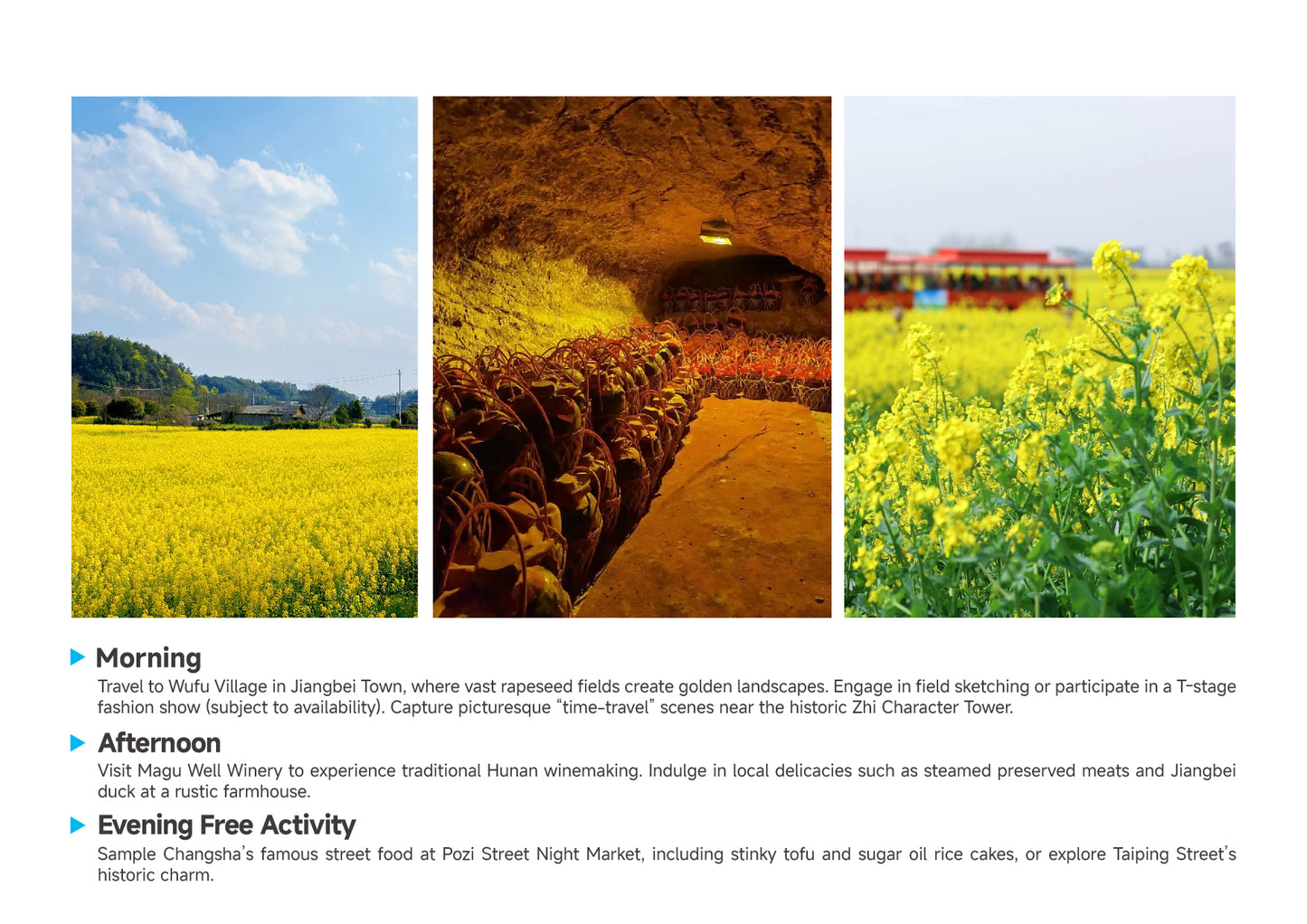 Trip 8:  An Eight-Day Flower-Viewing Tour in Changsha