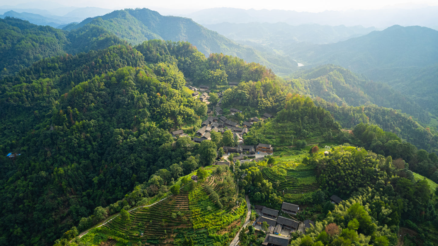 Trip 3: Xiangxi+Zhangjiajie - Heritage & Modern Harmony Tour